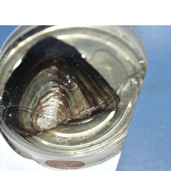 NIP Hope Pink Love Pearl Creations Kit Necklace Set with Stainless Chain 16" - Picture 3 of 4